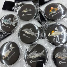 画像1: CYNCA スタンダード缶バッジ コリドラス選べる3個セット (1)