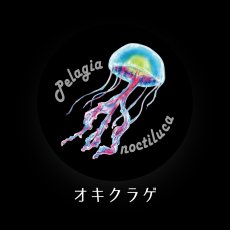 画像6: CYNCA スタンダード缶バッジ クラゲ3種セット (6)