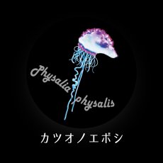 画像5: CYNCA スタンダード缶バッジ クラゲ3種セット (5)