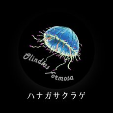 画像7: CYNCA スタンダード缶バッジ クラゲ3種セット (7)