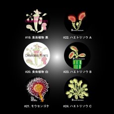 画像4: CYNCA スタンダード缶バッジ 食虫植物選べる3個セット (4)