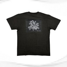画像1: CYNCA S/S Tシャツ ハエトリグサII (1)