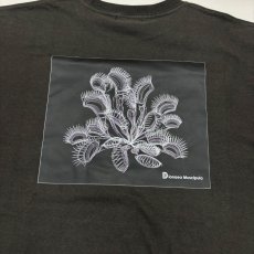 画像6: CYNCA S/S Tシャツ ハエトリグサII (6)