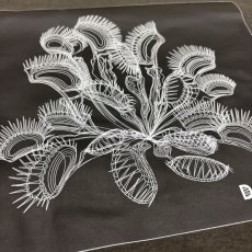 画像7: CYNCA S/S Tシャツ ハエトリグサII (7)