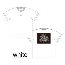 画像8: CYNCA S/S Tシャツ ハエトリグサII (8)