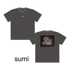 画像10: CYNCA S/S Tシャツ ハエトリグサII (10)