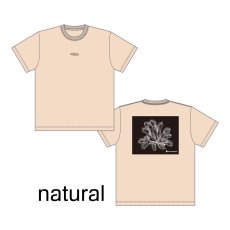 画像9: CYNCA S/S Tシャツ ハエトリグサII (9)