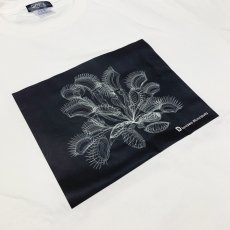 画像4: CYNCA S/S Tシャツ ハエトリグサA (4)