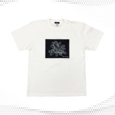 画像1: CYNCA S/S Tシャツ ハエトリグサA (1)