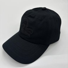 画像3: CYNCA コットンツイルキャップ ハエトリグサB "ONE" (3)