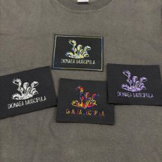 画像8: CYNCA S/S Tシャツ ハエトリグサ "線" (8)