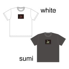 画像7: CYNCA S/S Tシャツ ハエトリグサ "線" (7)