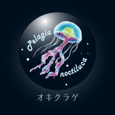 画像6: CYNCA サテン缶バッジ クラゲ (6)