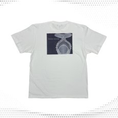 画像1: CYNCA S/S Tシャツ ネペンテス マクロフィラ (1)