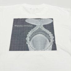 画像6: CYNCA S/S Tシャツ ネペンテス マクロフィラ (6)