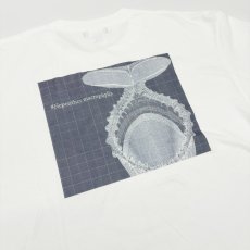画像7: CYNCA S/S Tシャツ ネペンテス マクロフィラ (7)